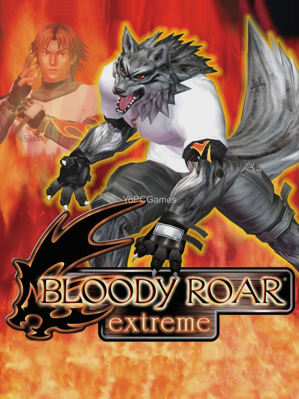 bloody roar extreme cover